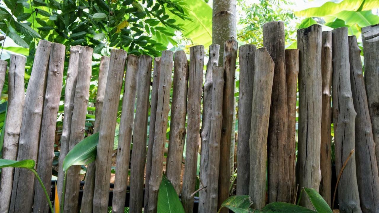The Family Kingdom Resort Freetown Ngoại thất bức ảnh
