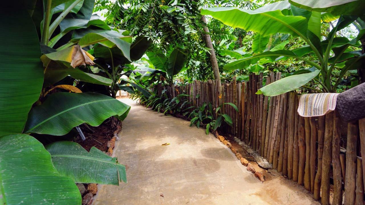 The Family Kingdom Resort Freetown Ngoại thất bức ảnh